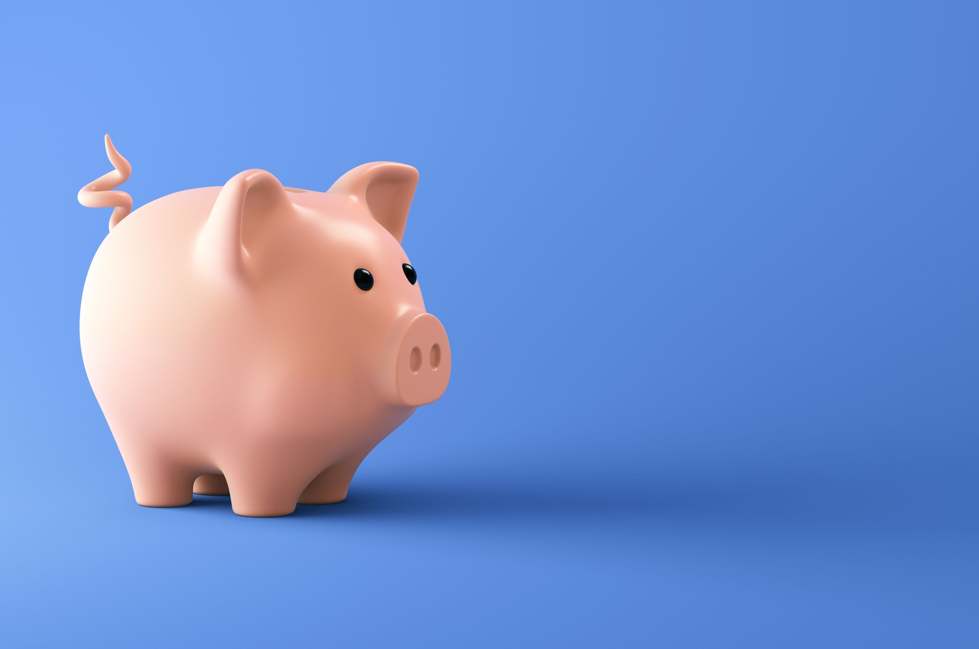 Pink piggy bank on blue background